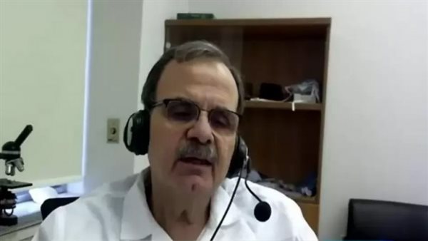 صيدا اون لاين