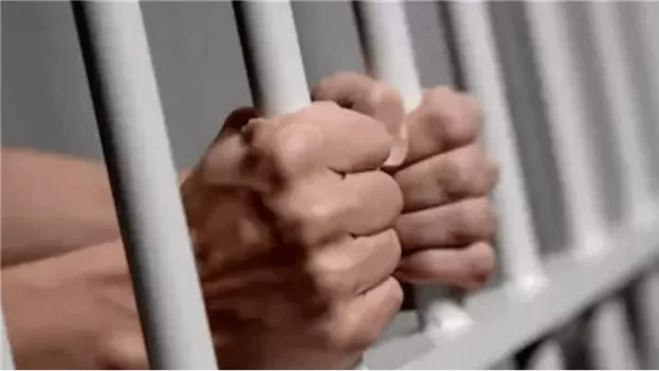 صيدا اون لاين