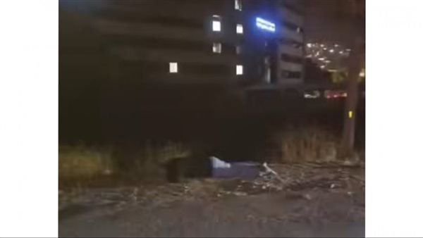 صيدا اون لاين