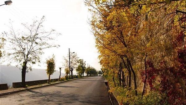 صيدا اون لاين