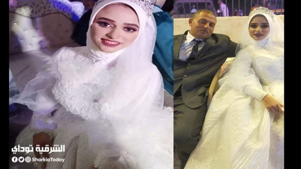 صيدا اون لاين