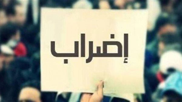 صيدا اون لاين